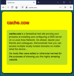 Screenshot of cache.cow test website with bright yellow background