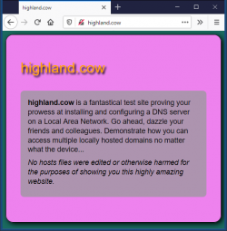 Screenshot of highland.cow test website with magenta background