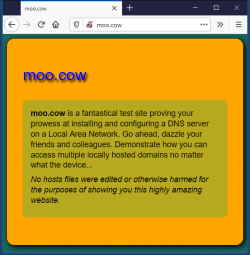 Screenshot of moo.cow test website with orange background
